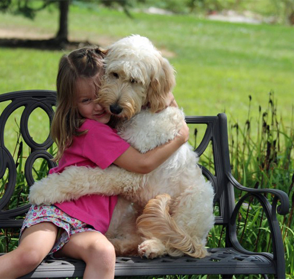 1. Un gros chien tout content de retrouver son maÃ®tre et un autre qui fÃªte son aniversaire