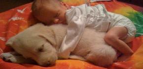25 Photos Qui Prouvent Que Les Animaux De Compagnie Sont Bons Pour Les Enfants