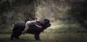 20 photos attendrissantes de la magnifique complicitÃ© entre les chiens et les enfants